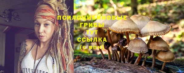 экстази Баксан